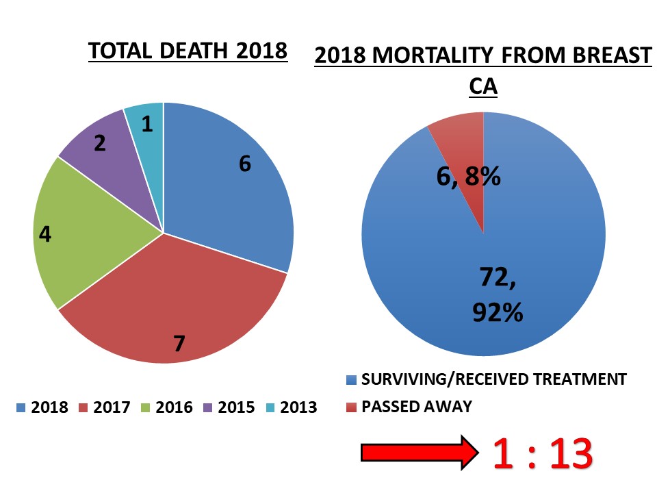 Slide13Statistik 2018