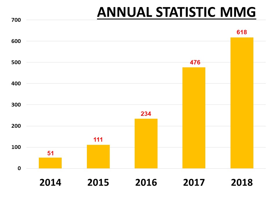 Slide5Statistik 2018