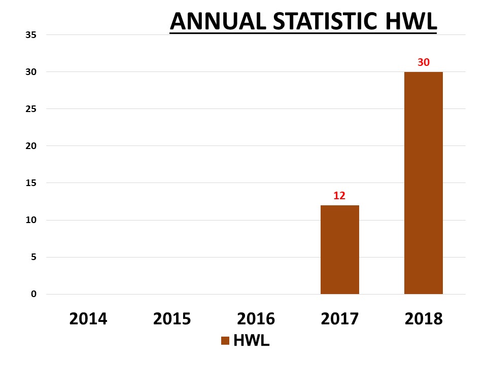 Slide6Statistik 2018