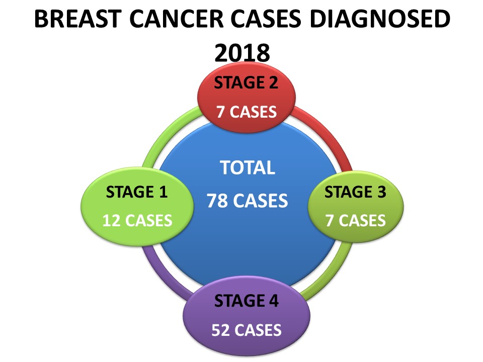 Slide8Statistik 2018